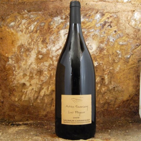 Saumur - Les Poyeux 2014 Magnum - Antoine Sanzay