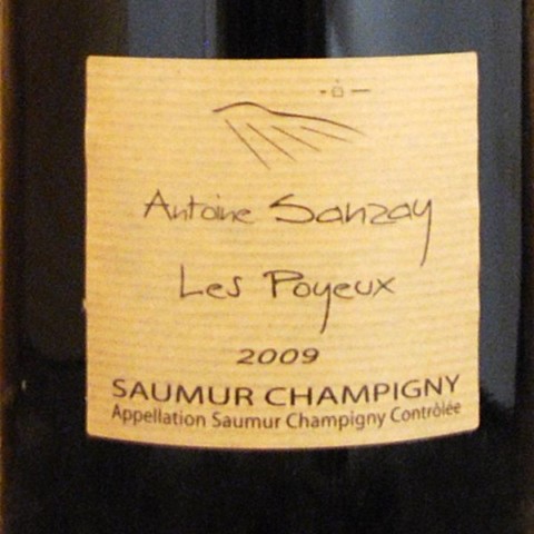 Saumur - Les Poyeux 2014 Magnum - Antoine Sanzay