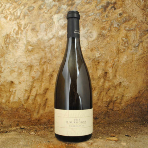 Bourgogne (aoc) Chardonnay 2013 - Amiot-Servelle