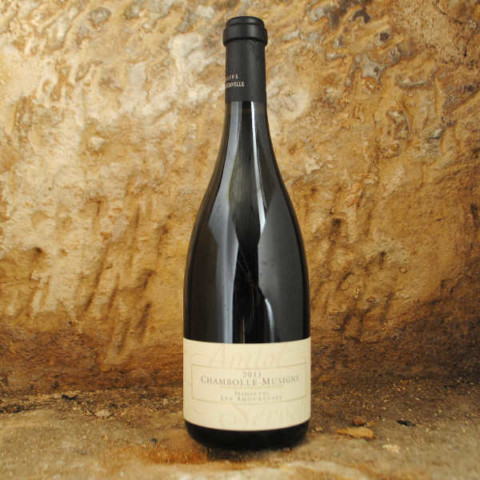 Chambolle-Musigny Premier Cru - Les Amoureuses 2011 - Amiot-Servelle