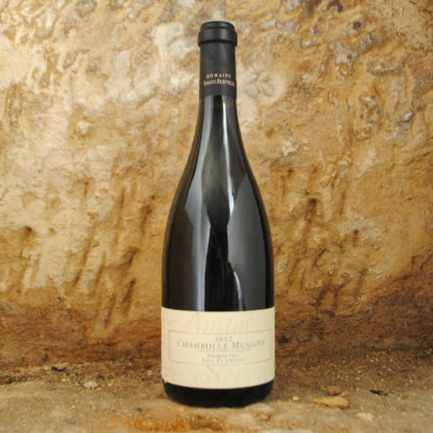 Chambolle-Musigny Premier Cru - Les Plantes 2012 - Amiot-Servelle