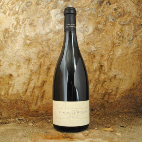 Chambolle-Musigny Premier Cru - Les Plantes 2022 - Amiot-Servelle