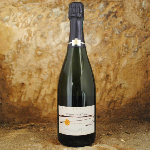 Champagne Françoise Bedel - L'âme de la terre 2004