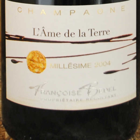 Champagne Françoise Bedel - L'âme de la terre 2004