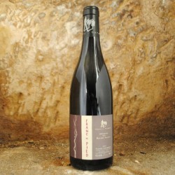 Saumur Champigny Franc de Pied 2015 Thierry Germain domaine des roches neuves