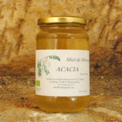 Miel du Morvan - Acacia