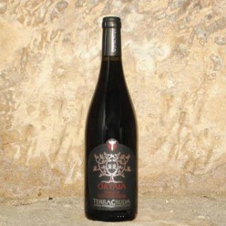 vin terracruda ortaia