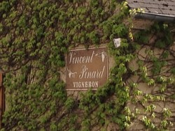 Sancerre-Vincent-Pinard domaine vincent pinard