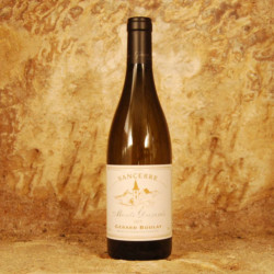 Sancerre - Monts Damnés 2021 - Gérard Boulay