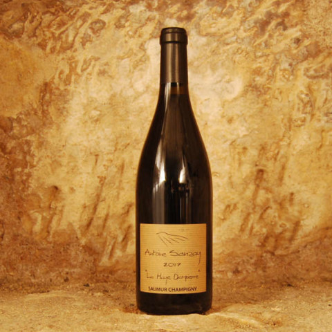 Saumur Champigny - La Haye Dampierre 2022 - Antoine Sanzay