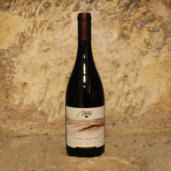 Saint Joseph Terra Nostra Domaine Barou 2023