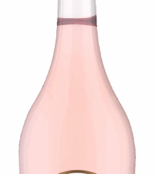 saint julien d'aille rosé 2024